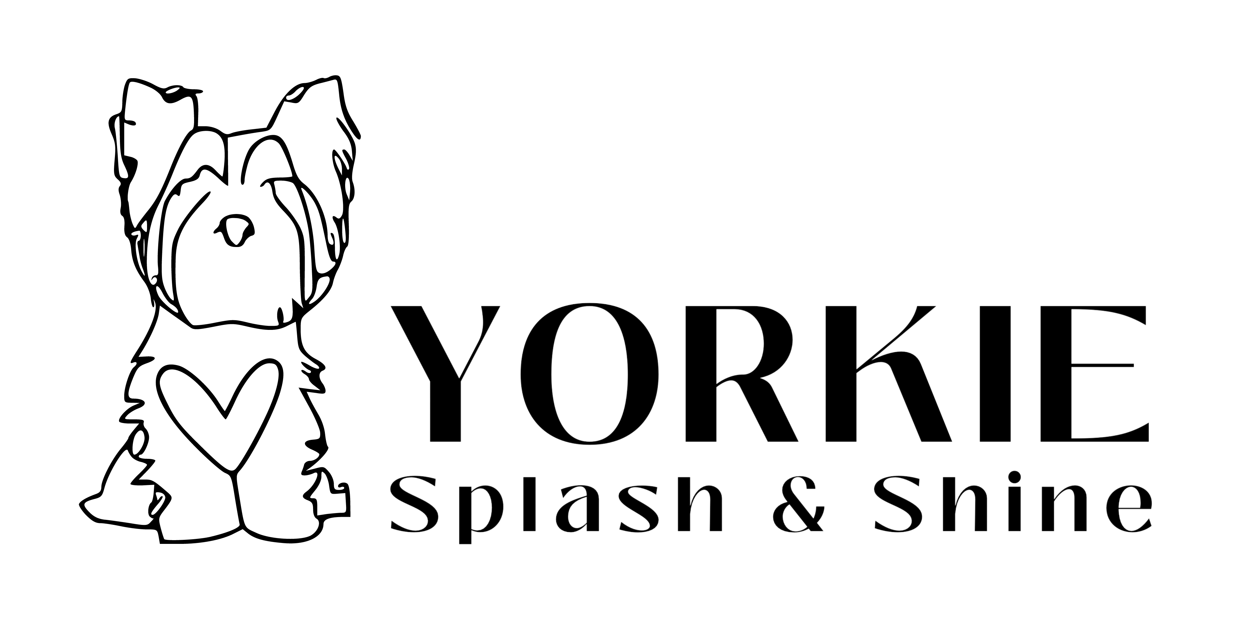 Yorkie Splash & Shine